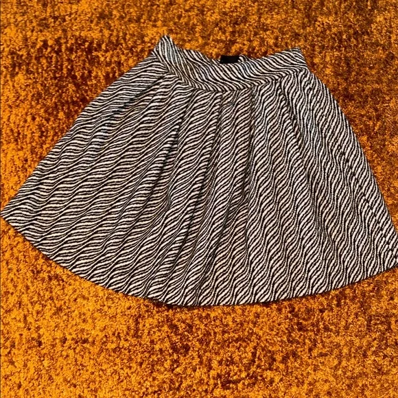 Elegant Black and White A-Line Skirt - Picture 1 of 9